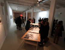 IMG 4257